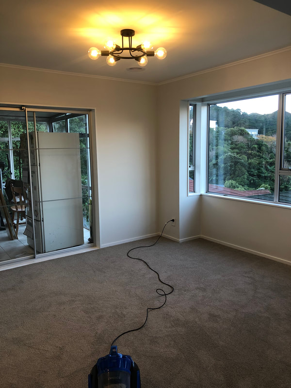 Home renovation · Wellington