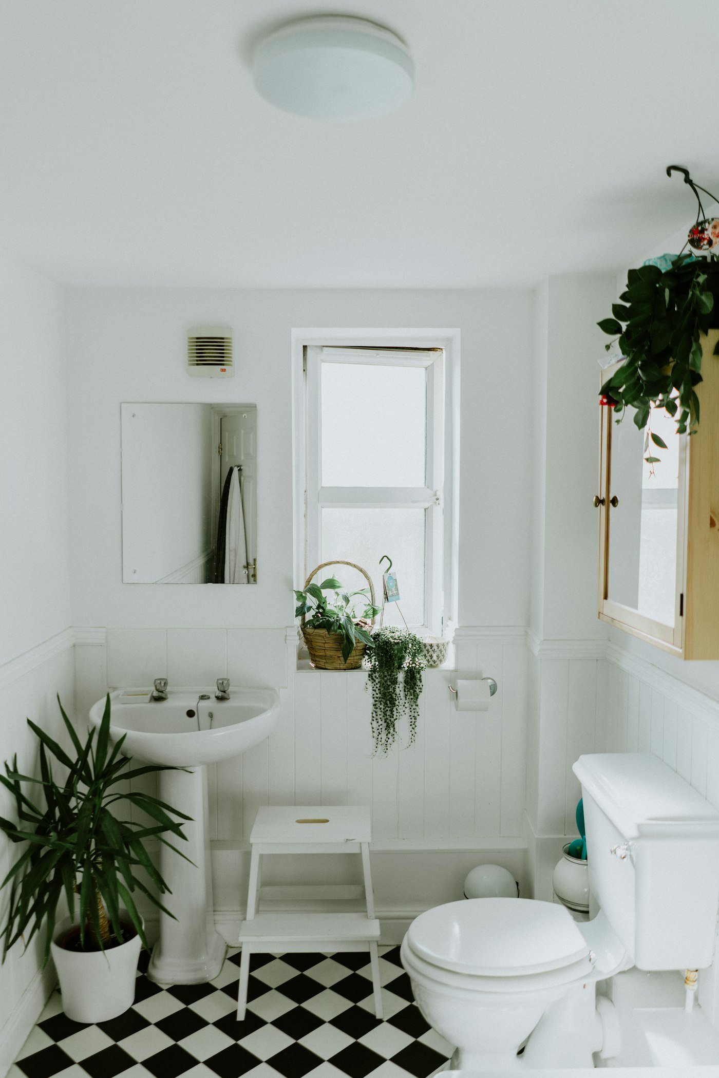 Bathroom interior, Wellington renovation inspiration
